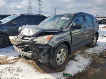  Salvage Honda Crv