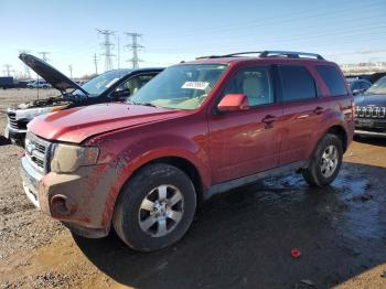  Salvage Ford Escape