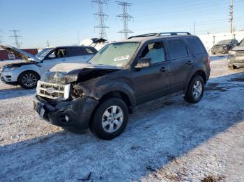  Salvage Ford Escape