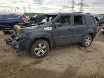  Salvage Honda Pilot