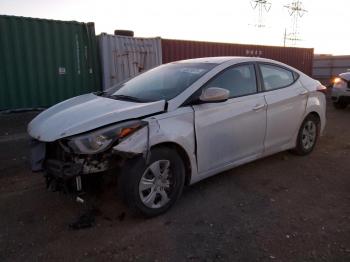  Salvage Hyundai ELANTRA