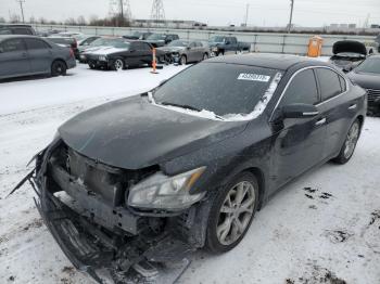  Salvage Nissan Maxima