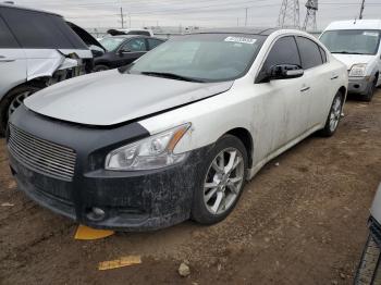  Salvage Nissan Maxima