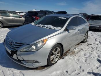  Salvage Hyundai SONATA