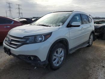  Salvage Honda Crv