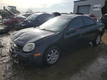  Salvage Dodge Neon