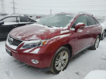  Salvage Lexus RX