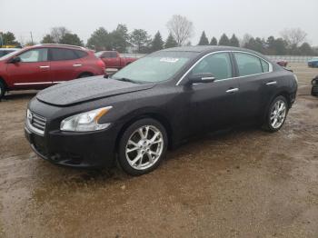  Salvage Nissan Maxima