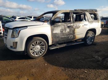  Salvage Cadillac Escalade