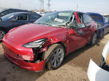  Salvage Tesla Model Y