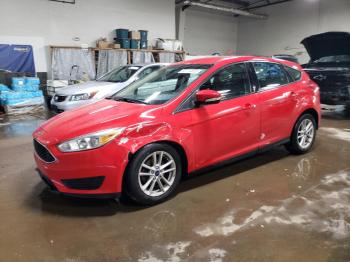  Salvage Ford Focus
