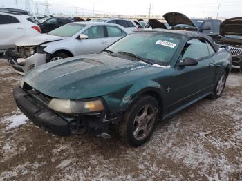  Salvage Ford Mustang