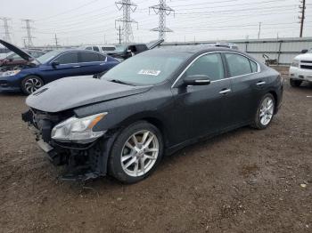  Salvage Nissan Maxima