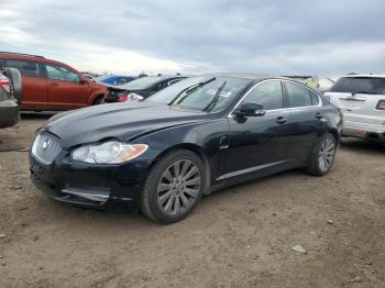  Salvage Jaguar XF