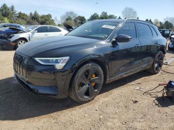  Salvage Audi e-tron