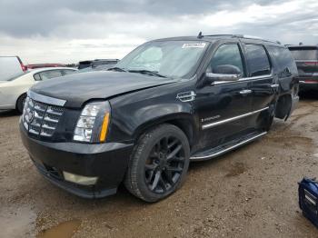  Salvage Cadillac Escalade