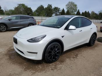  Salvage Tesla Model Y