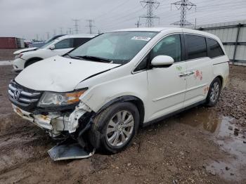  Salvage Honda Odyssey