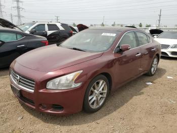  Salvage Nissan Maxima