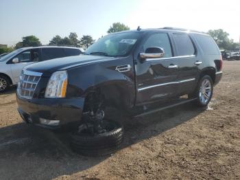  Salvage Cadillac Escalade
