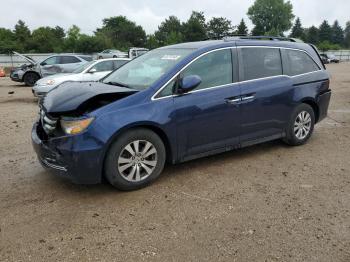  Salvage Honda Odyssey