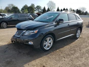  Salvage Lexus RX