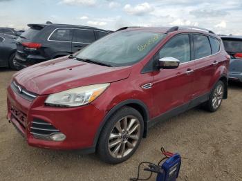  Salvage Ford Escape