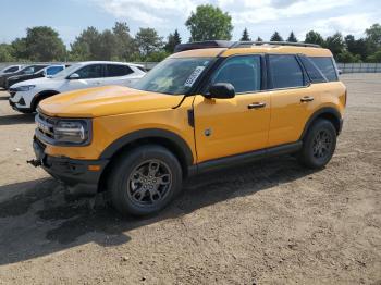  Salvage Ford Bronco