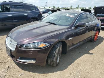  Salvage Jaguar XF