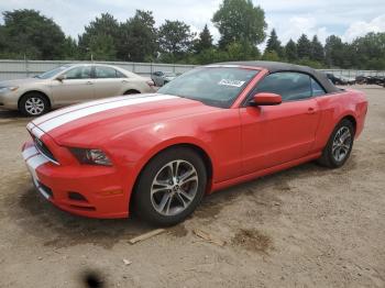 Salvage Ford Mustang