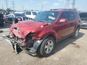  Salvage Ford Escape
