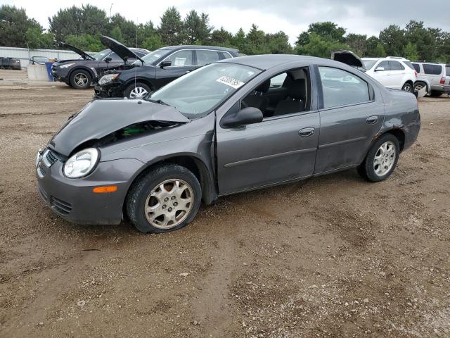  Salvage Dodge Neon
