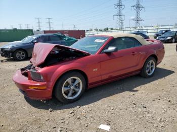  Salvage Ford Mustang