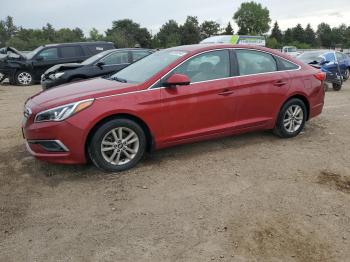  Salvage Hyundai SONATA