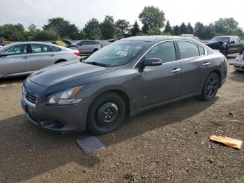  Salvage Nissan Maxima