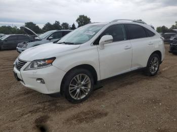  Salvage Lexus RX