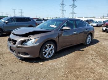  Salvage Nissan Maxima