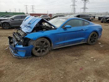  Salvage Ford Mustang