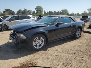 Salvage Ford Mustang