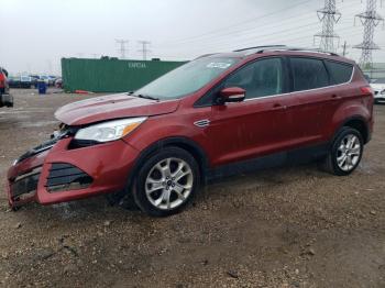  Salvage Ford Escape