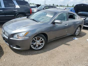  Salvage Nissan Maxima