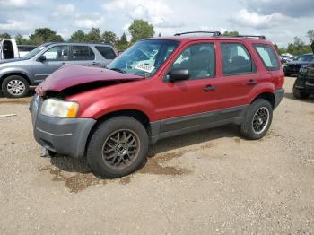  Salvage Ford Escape