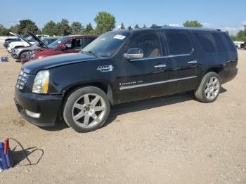  Salvage Cadillac Escalade