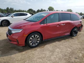  Salvage Honda Odyssey