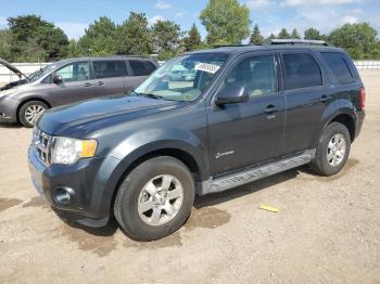  Salvage Ford Escape