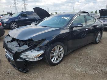  Salvage Nissan Maxima
