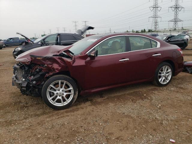  Salvage Nissan Maxima