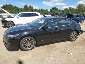  Salvage Acura TLX