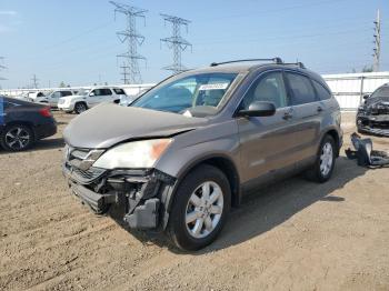  Salvage Honda Crv
