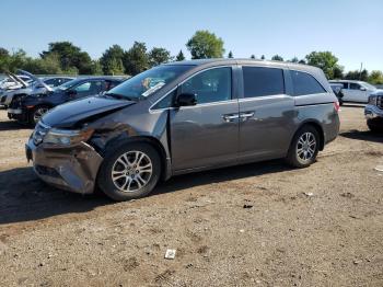  Salvage Honda Odyssey